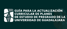 Actualización curricular